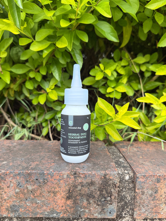 Essential Dog Herbal Dog Toothpaste 70g